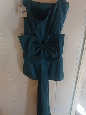 Womens Xl Charmed Hearts Teal Strapless Prom Dress with Tails